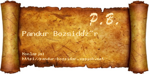 Pandur Bozsidár névjegykártya